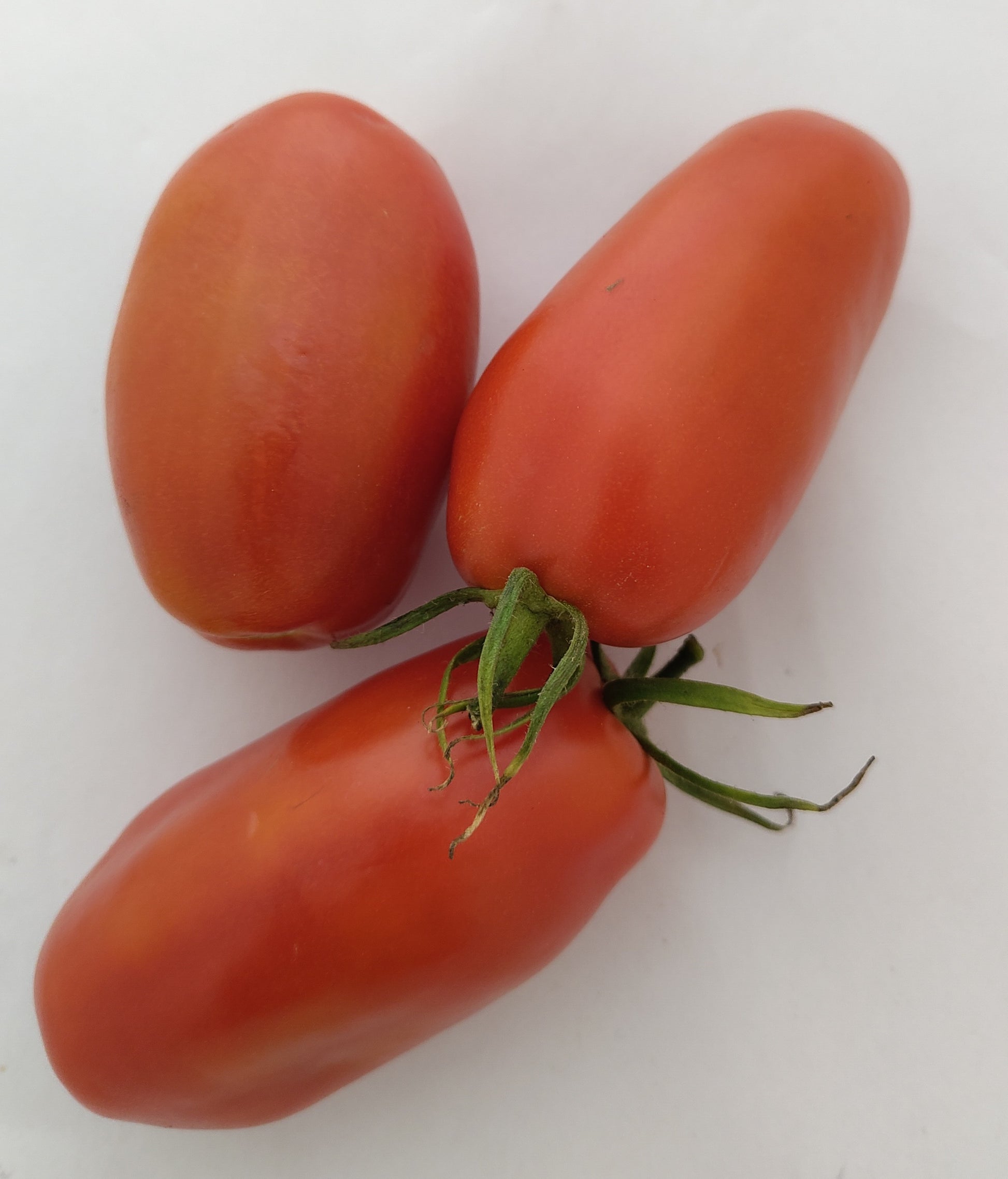 Eiertomaten 0,5 kg