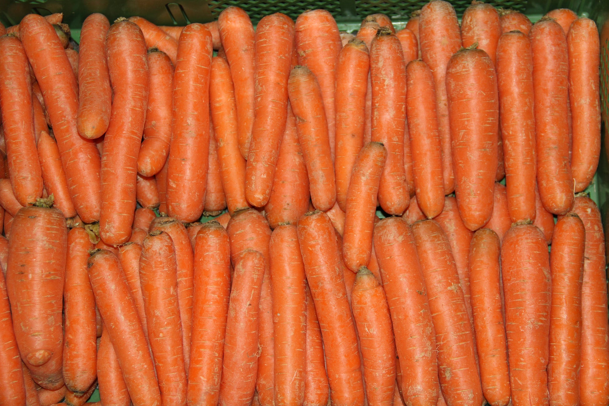 Karotten frisch 500g