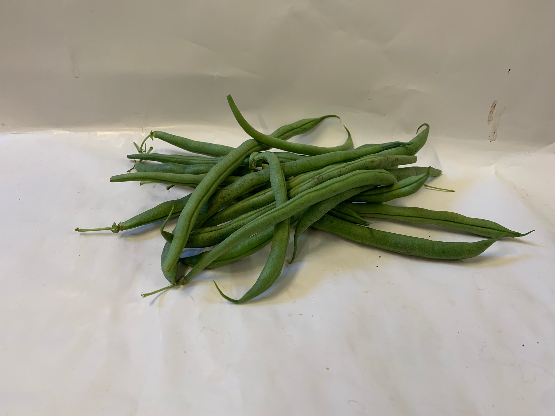 Fisolen