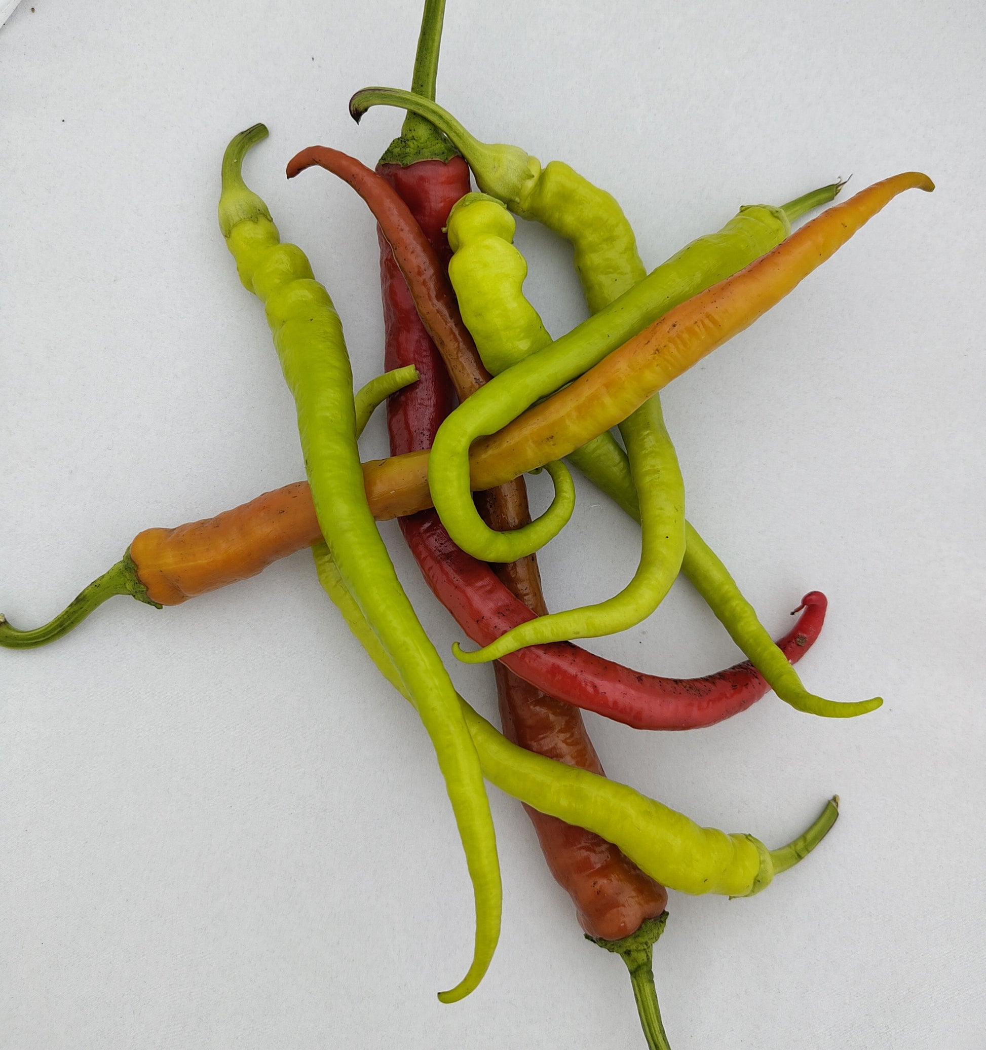 Spiralpfefferoni mild