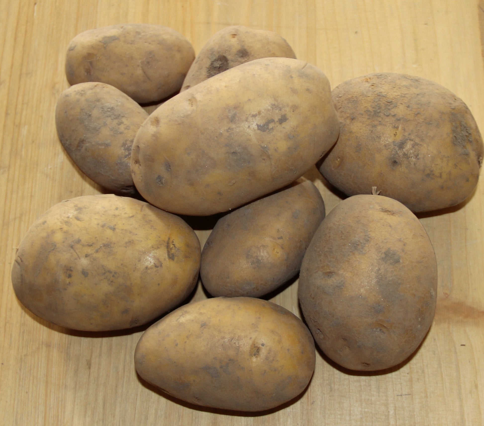 Heurige Erdäpfel (vorw. festkochend)