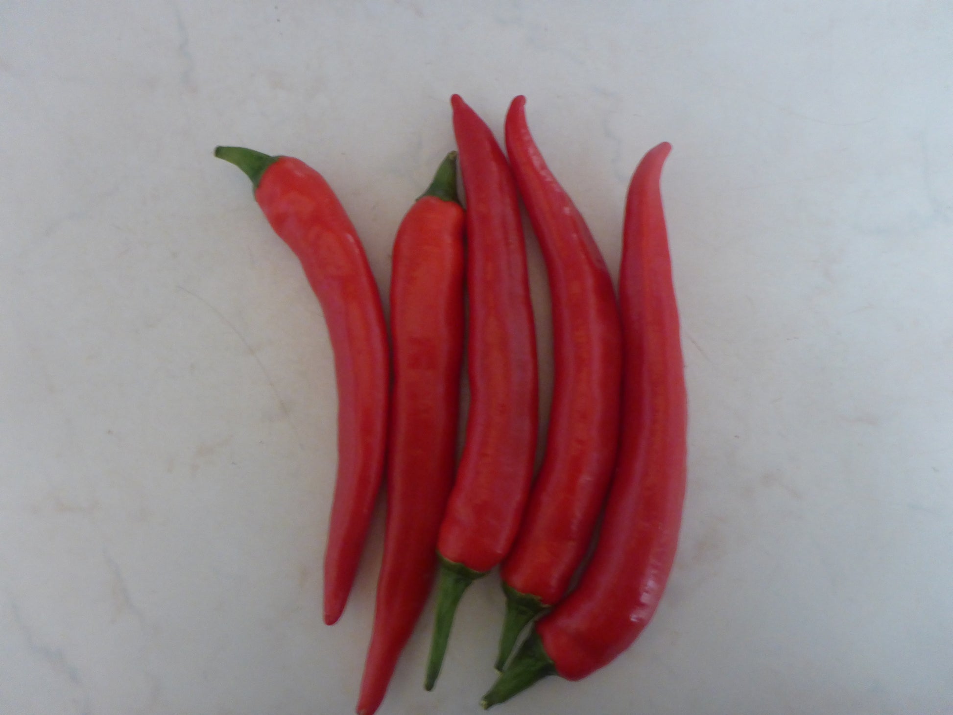 Chili 100 g