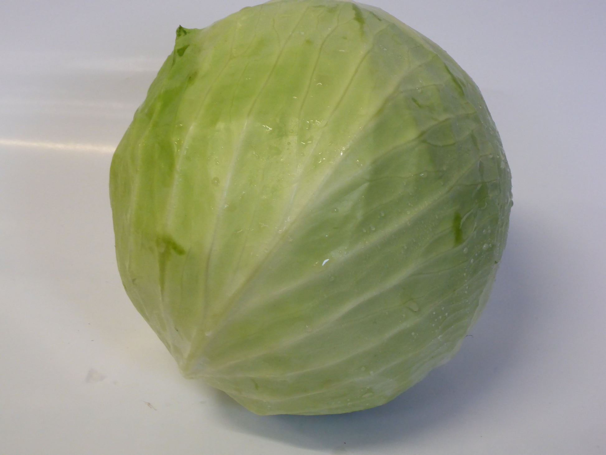 Frühkraut