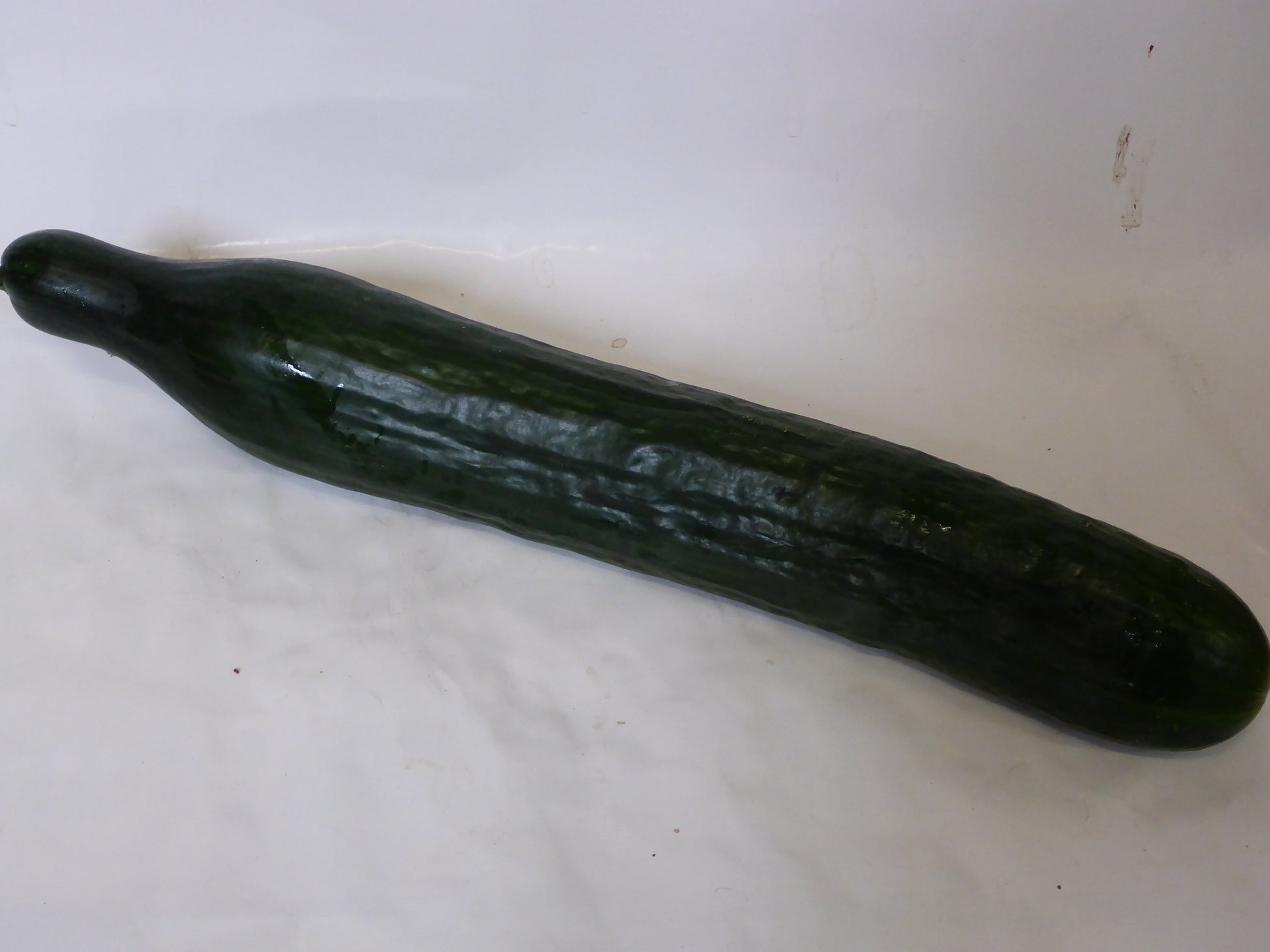 Salatgurke